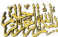 bsm1.gif (29647 bytes)